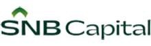 Entity 1 Logo